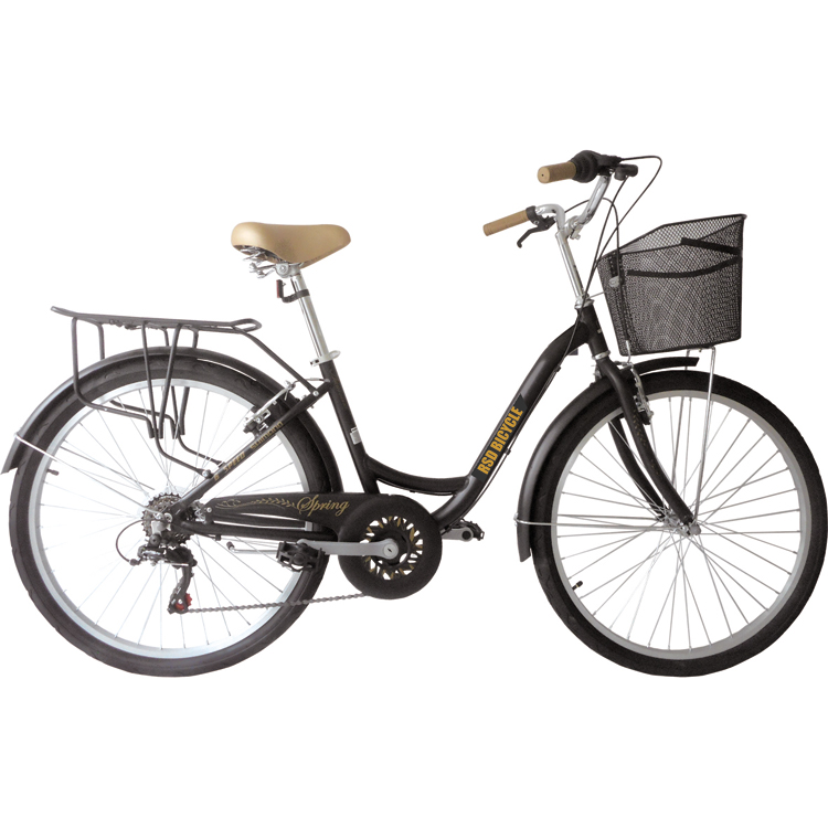 Cycling In City - Aluminium 20
